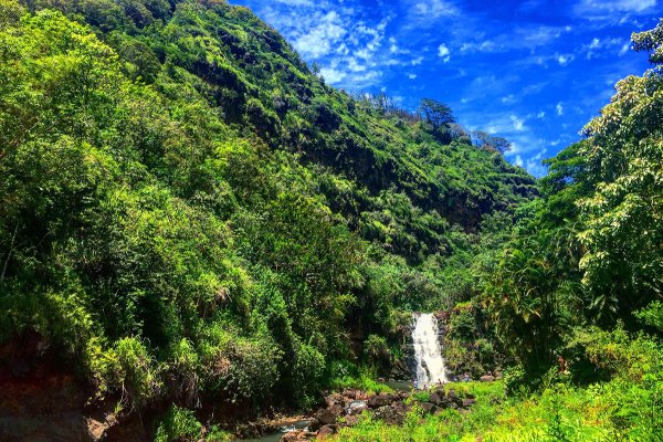 Waimea Falls Tile Image