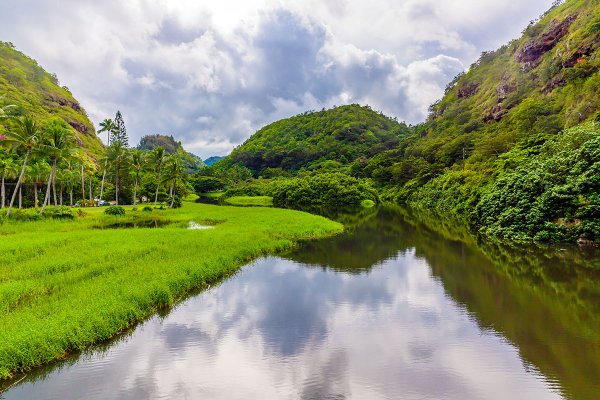 Waimea Valley