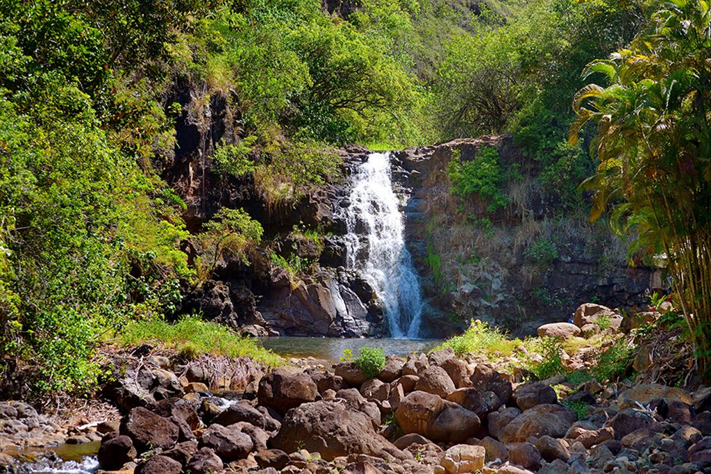 Waimea Falls, located in Waimea Valley on Oahu, is a perfect photo opportunity.
