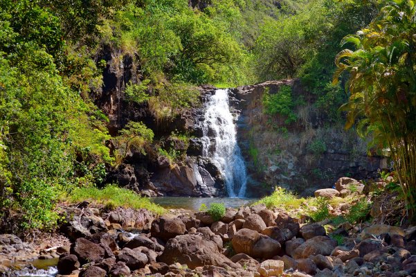 Waimea Valley Oahu