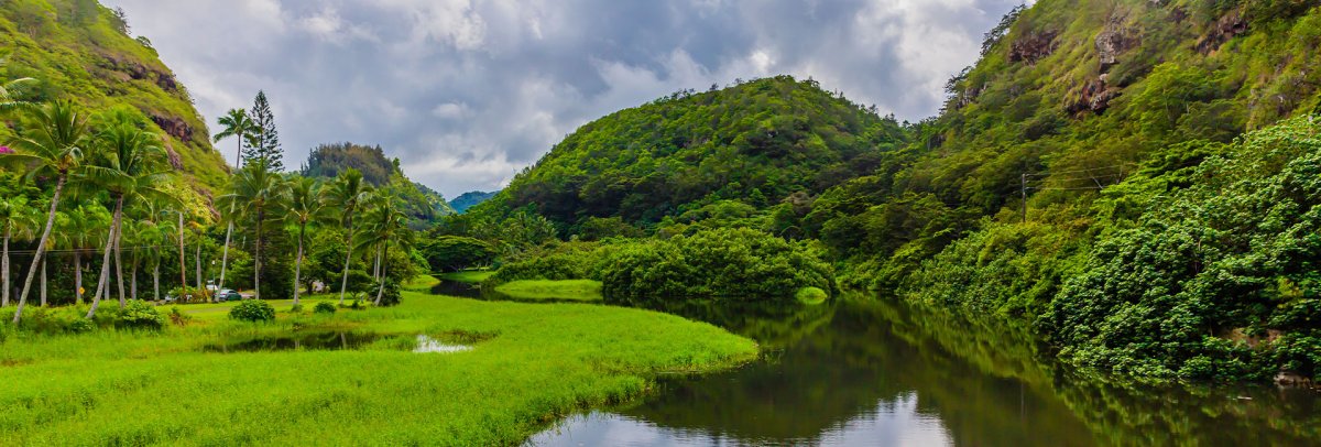 Waimea Valley