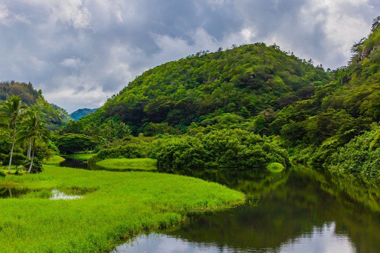 Oahu's Waimea Valley Image