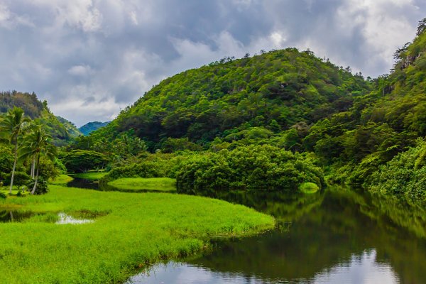 Oahu's Waimea Valley Tile Image