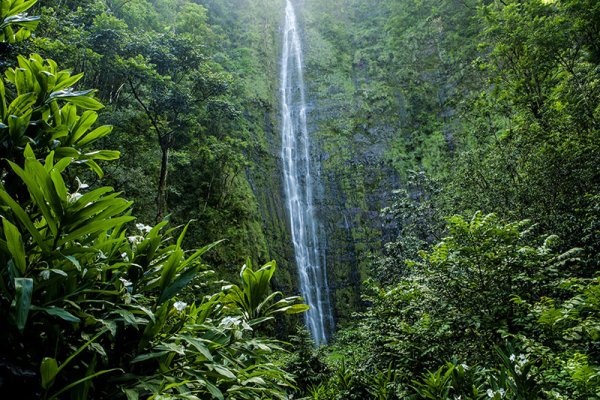 Waimoku Falls Tile Image
