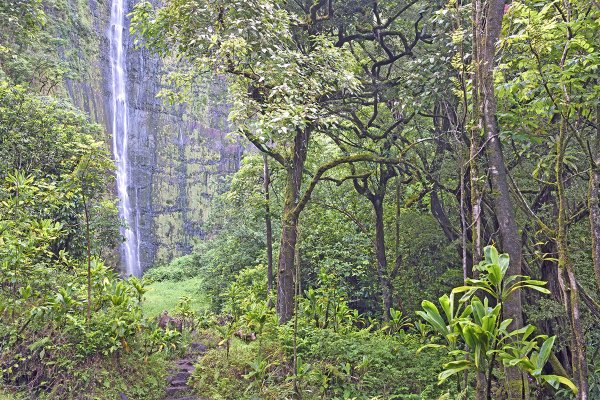 Waimoku Falls