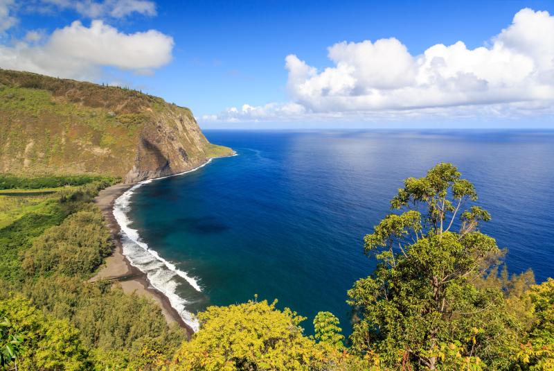 Waipio Beach