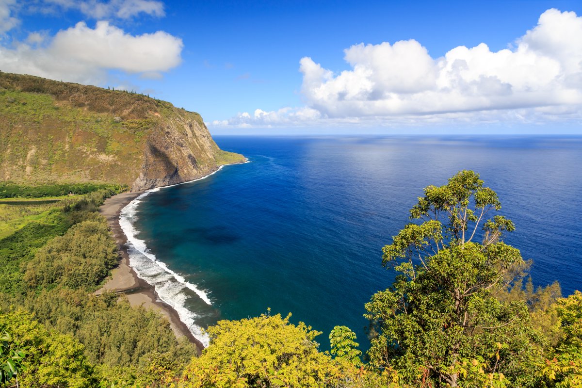 Waipio Valley Beach
