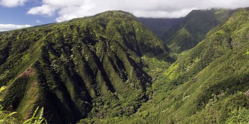 West Maui Hikes