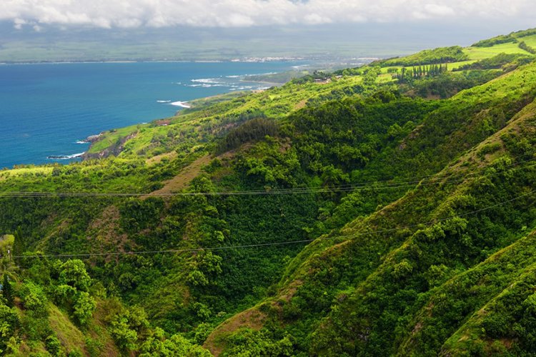 West Maui Region Image