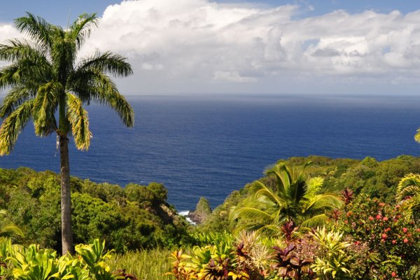 East Maui Coast One-Day Itinerary Tile Image