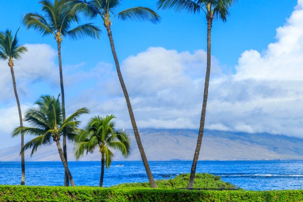 When to Visit Maui Tile Image