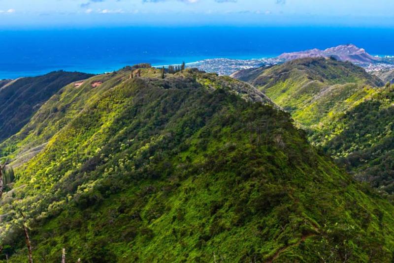 Wiliwilinui Ridge Trail
