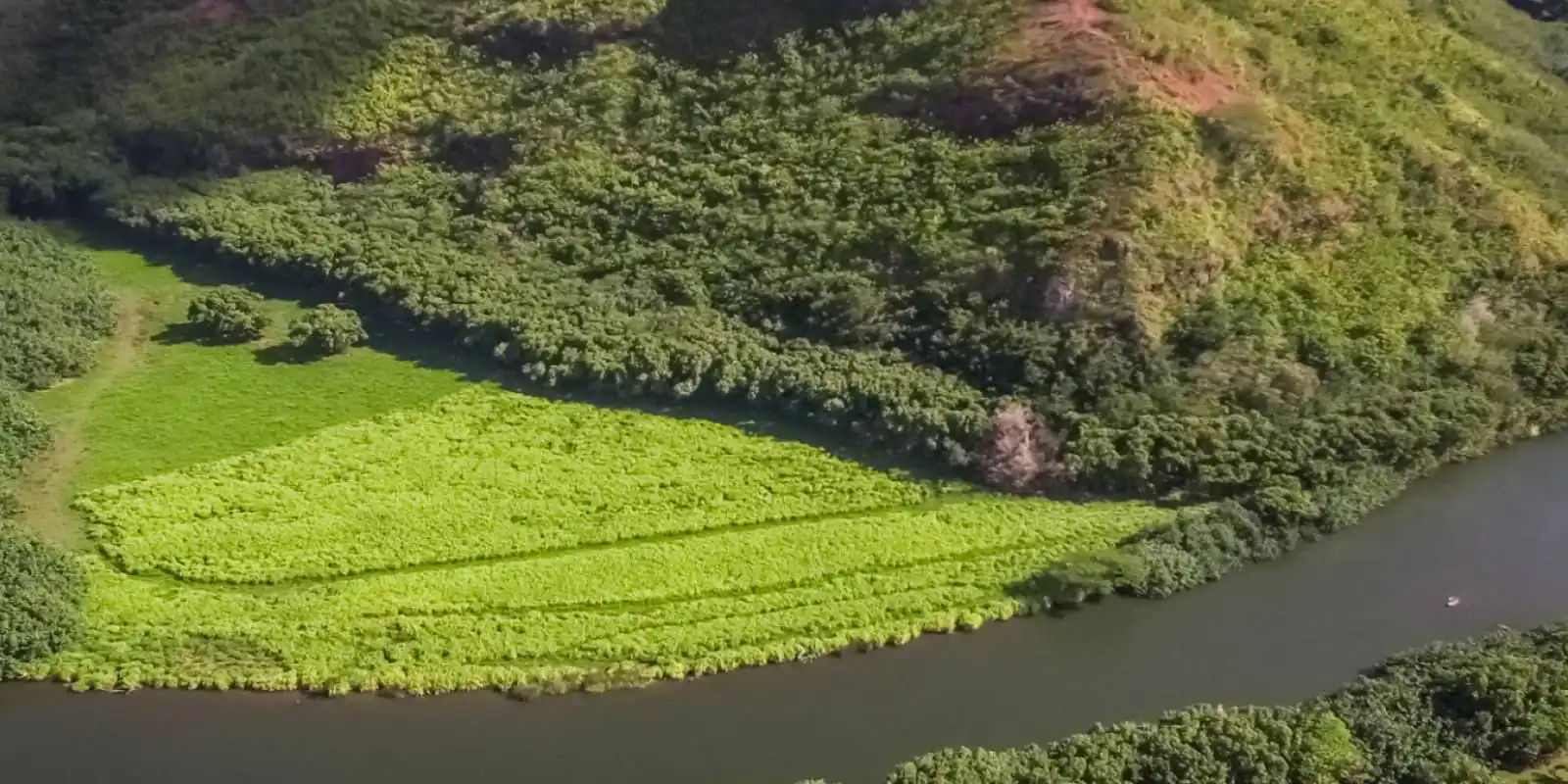 Coconut Coast Kauaʻi — the Wailua River and Kauaʻi's East Side