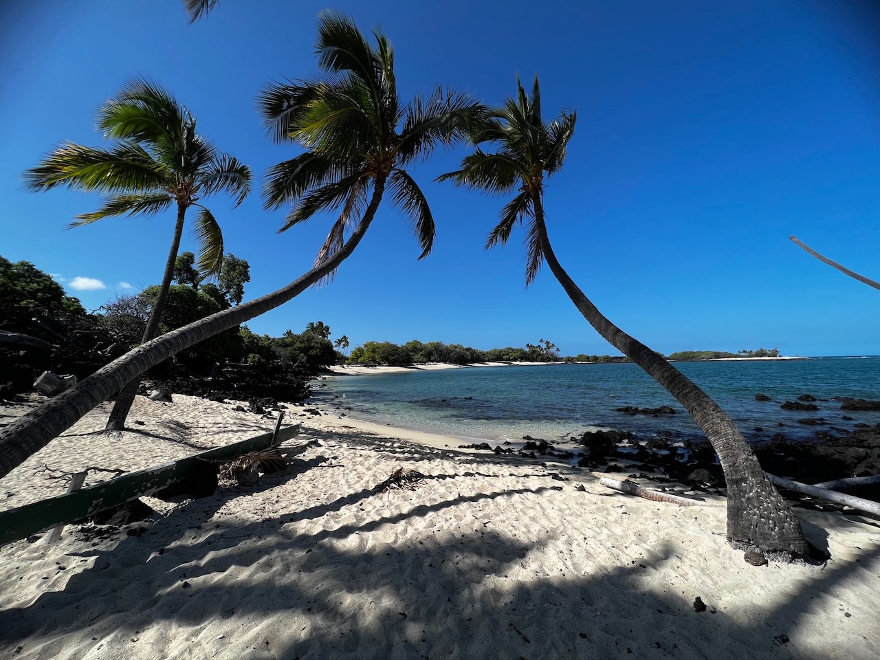 Palm-framed cove at Makalawena Beach, Kekaha Kai State Park, Big Island