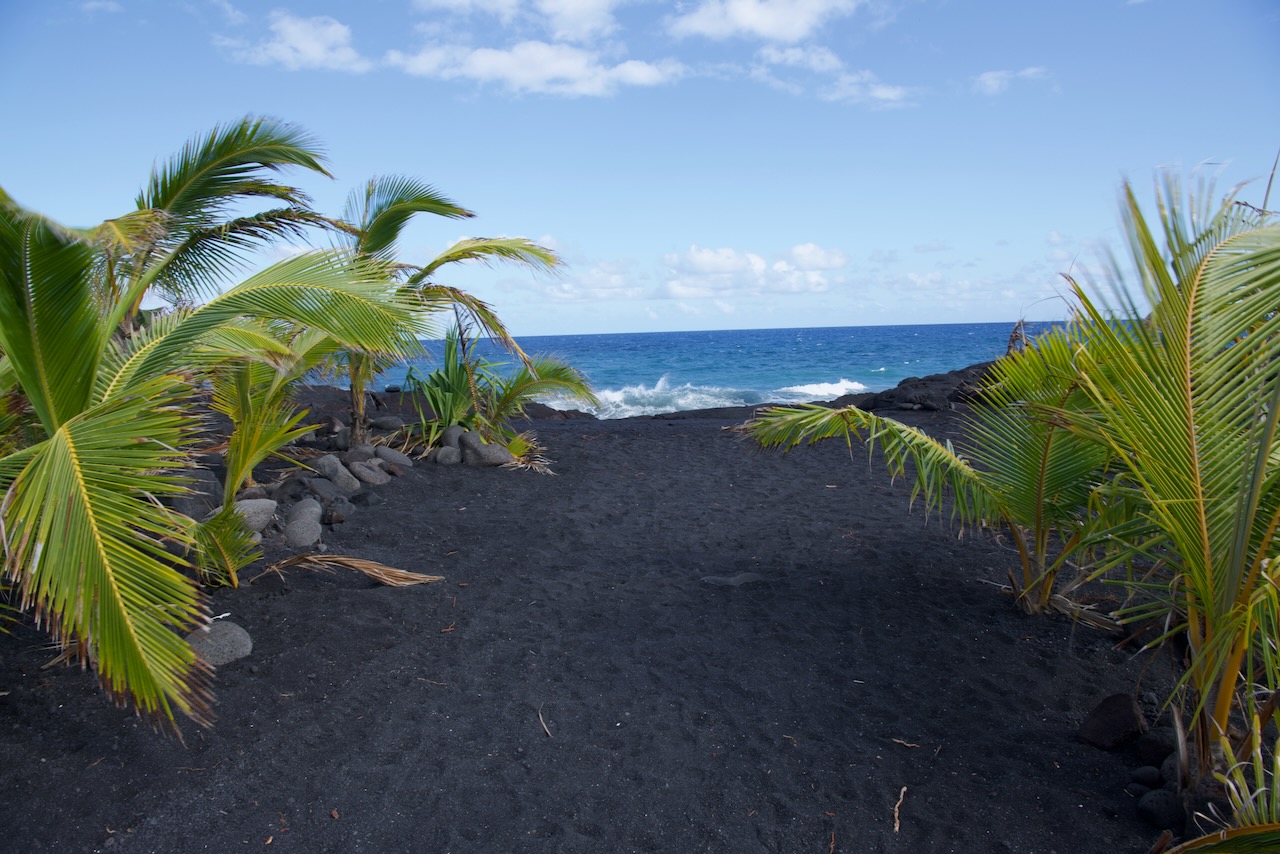 New Kaimū Beach and coconut palms, Kalapana, Puna, Big Island