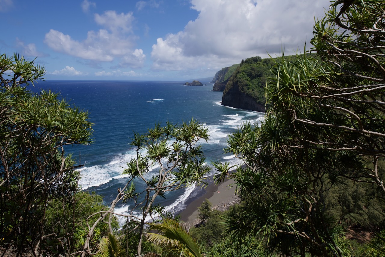 Pololū Valley black sand beach framed by foliage, Big Island