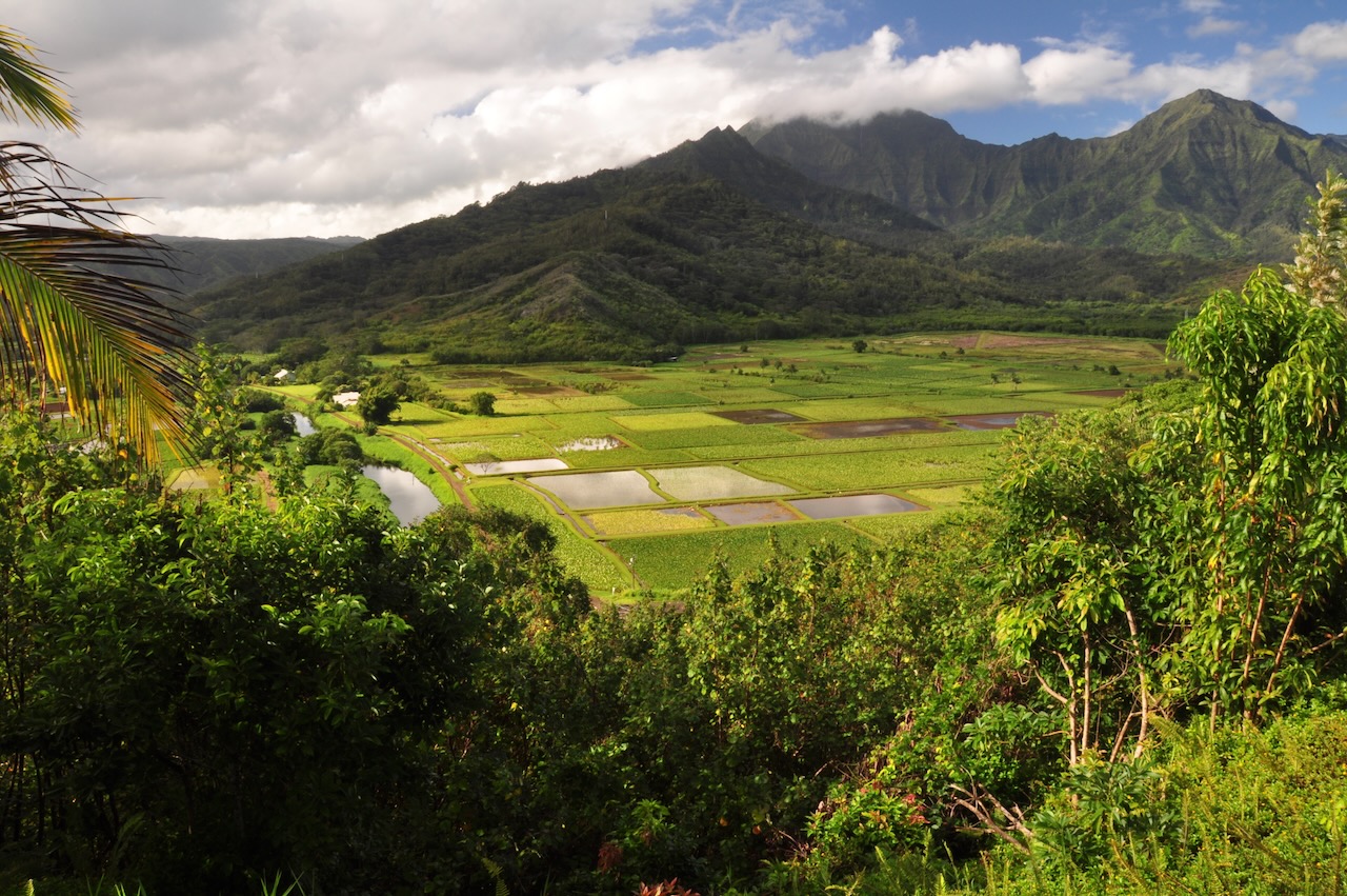 Hanalei Valley lookout, Kauaʻi