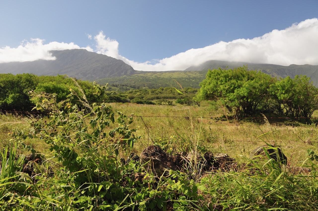 Upcountry Maui view from the slopes of Haleakalā