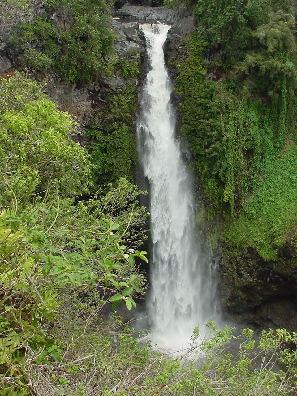 Makahiku Falls from the overlook on the Pīpīwai Trail, Kīpahulu