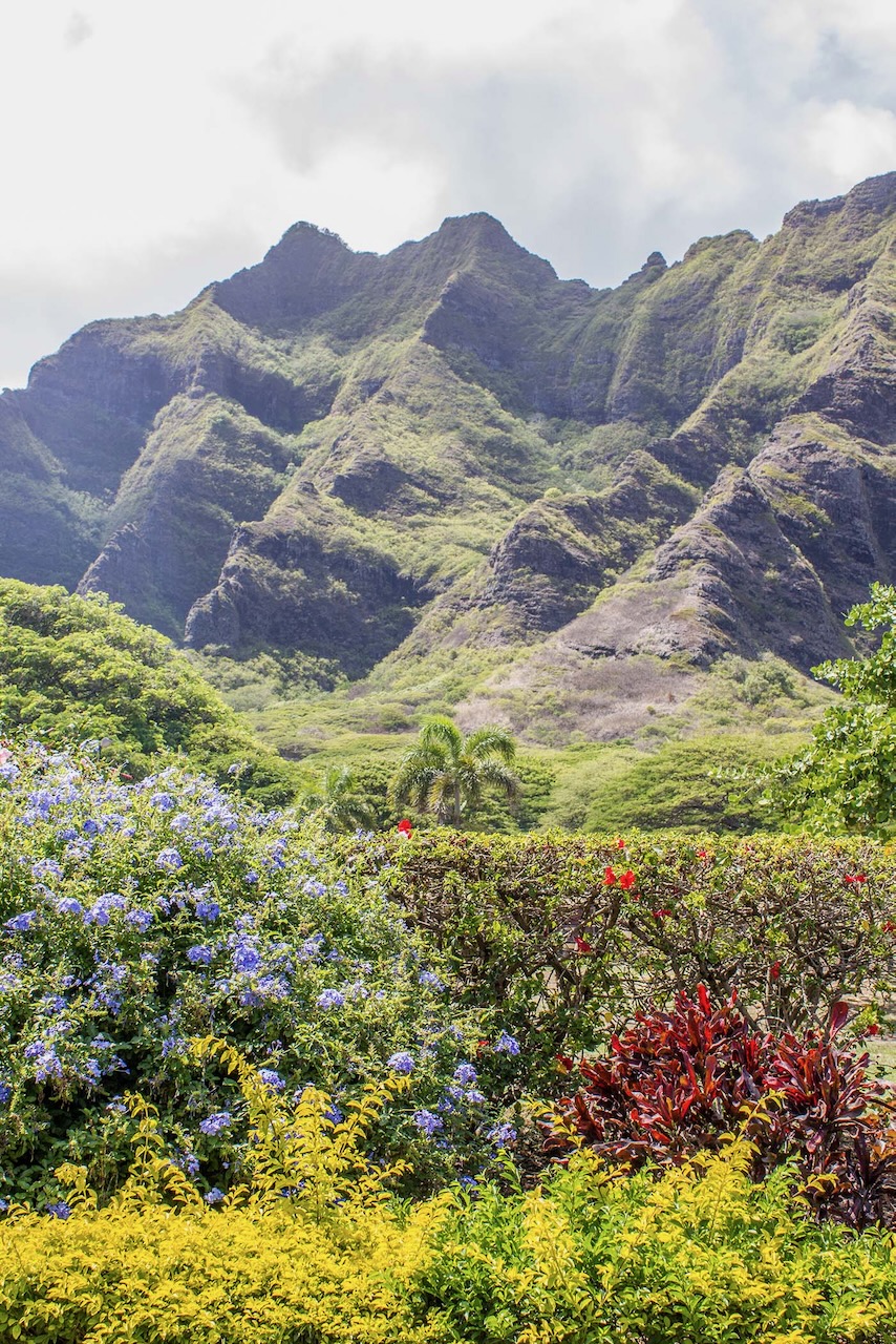 Dense Vegetation Kualoa Ranch Oahu ss 720678196 Resized